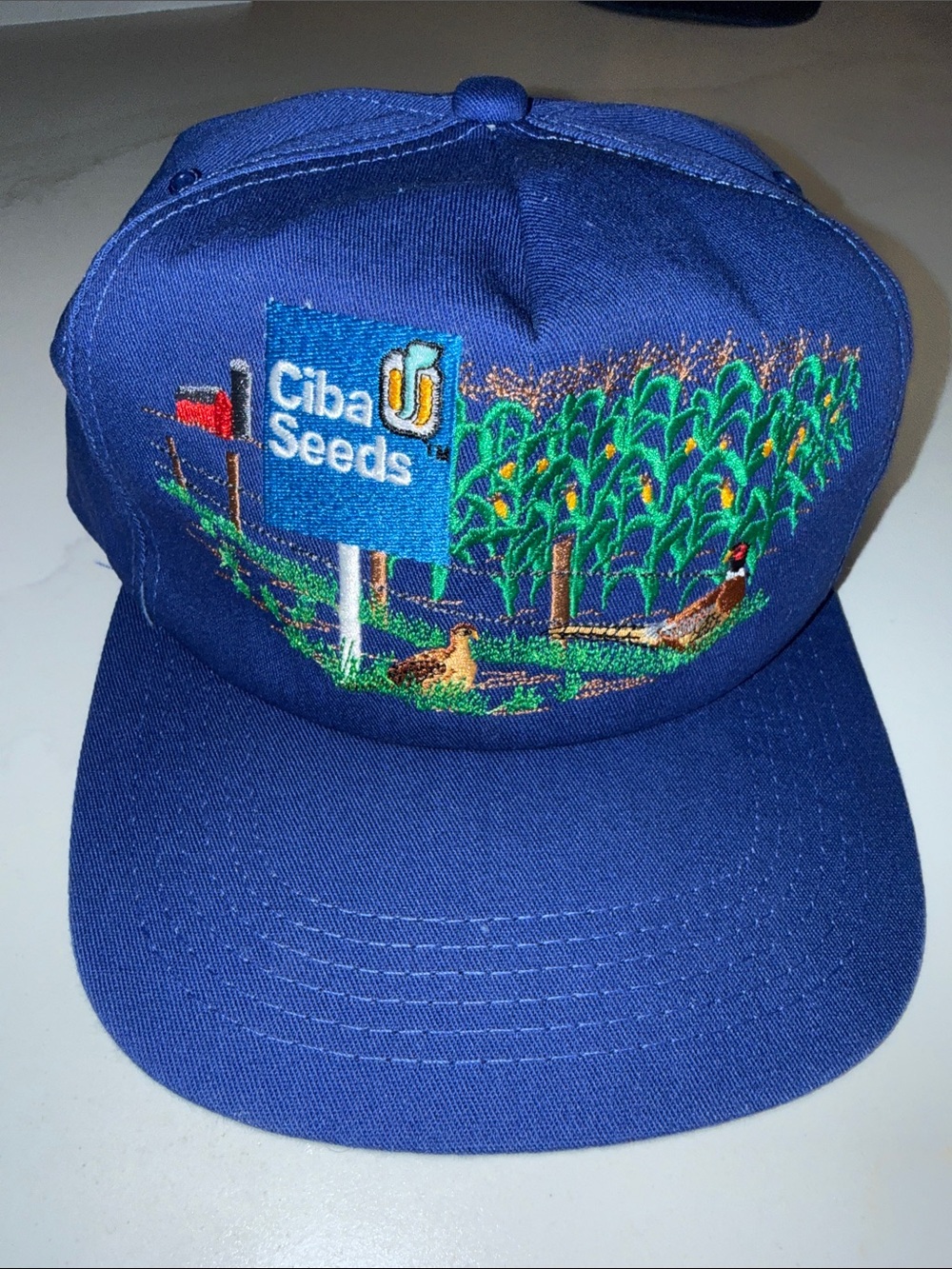 Vintage Ciba Seeds Blue Embroidered trucker hat